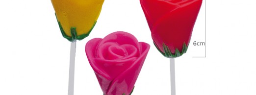 26 Lollipop Rose