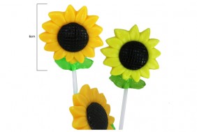 5 Lollipop Sunflower